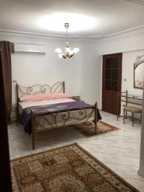 Luxury Apartment’s in Alexandria, Saba Basha